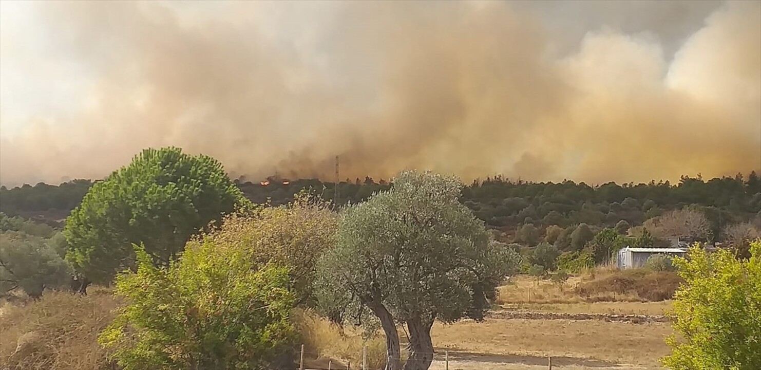 İzmir'in Foça ilçesinde çöplükte çıkan ve ormanlık alana sıçrayan yangına havadan ve karadan...