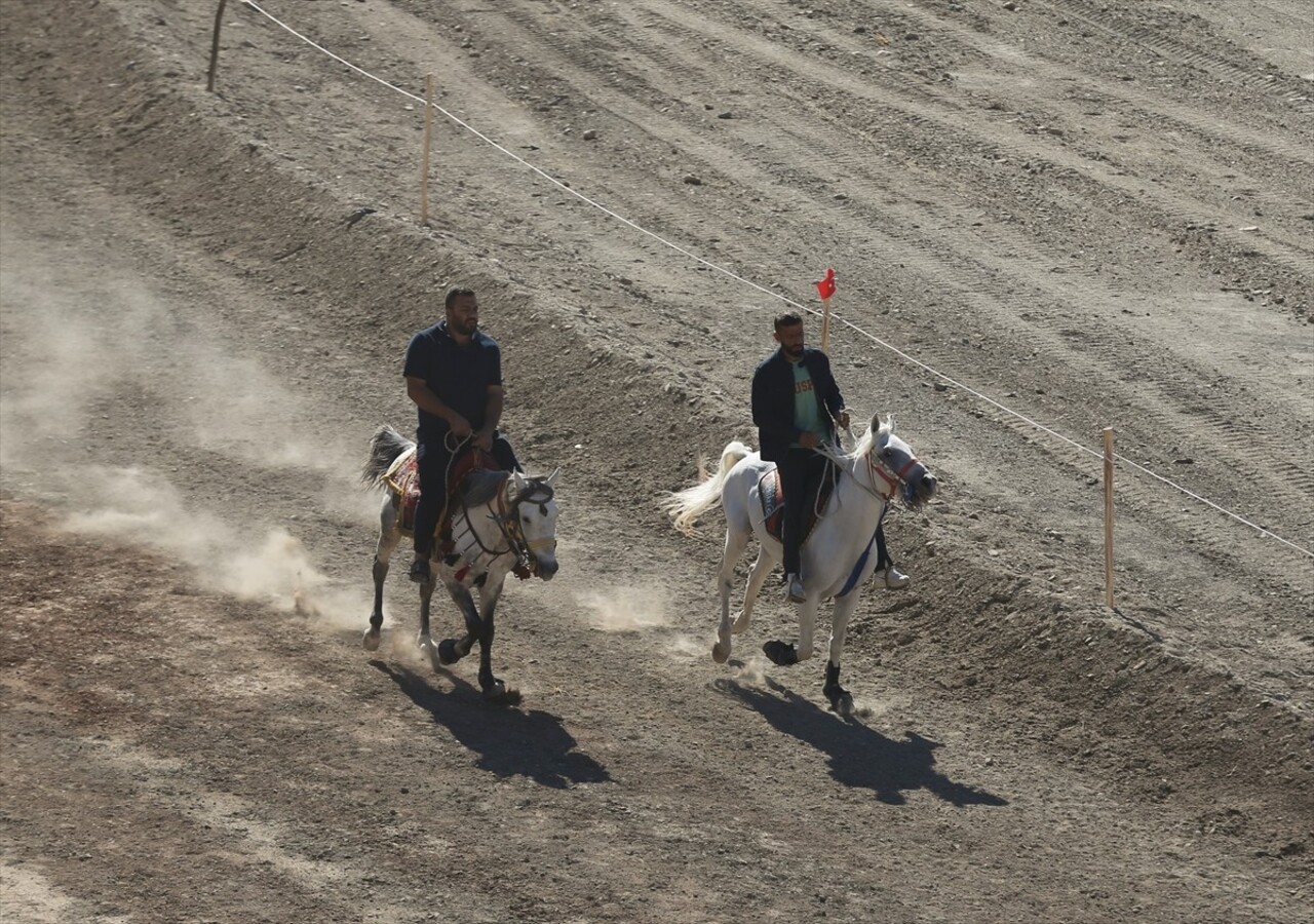 Mardin'in merkez Artuklu ilçesinde Gençlik ve Spor Bakanlığı, Valilik, Türkiye Geleneksel Atlı...