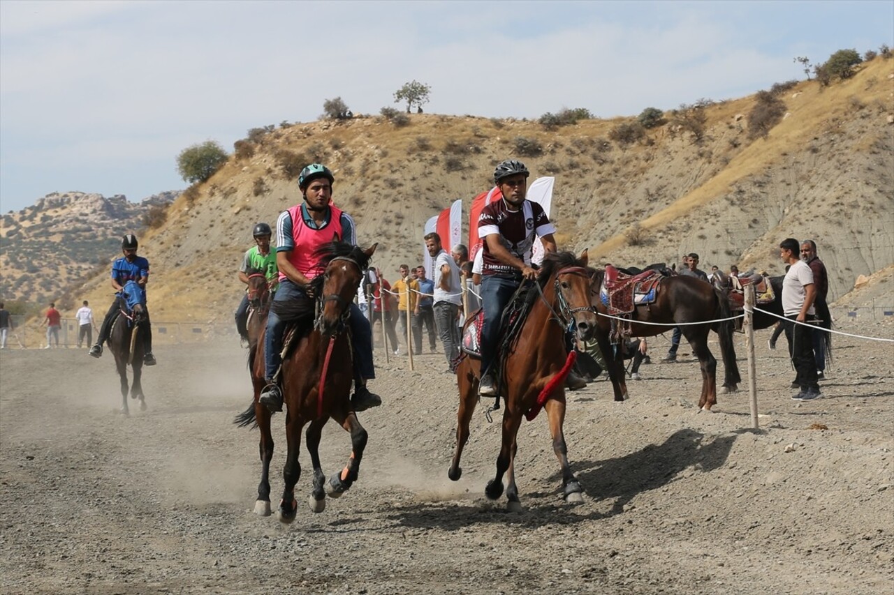 Mardin'in merkez Artuklu ilçesinde Gençlik ve Spor Bakanlığı, Valilik, Türkiye Geleneksel Atlı...