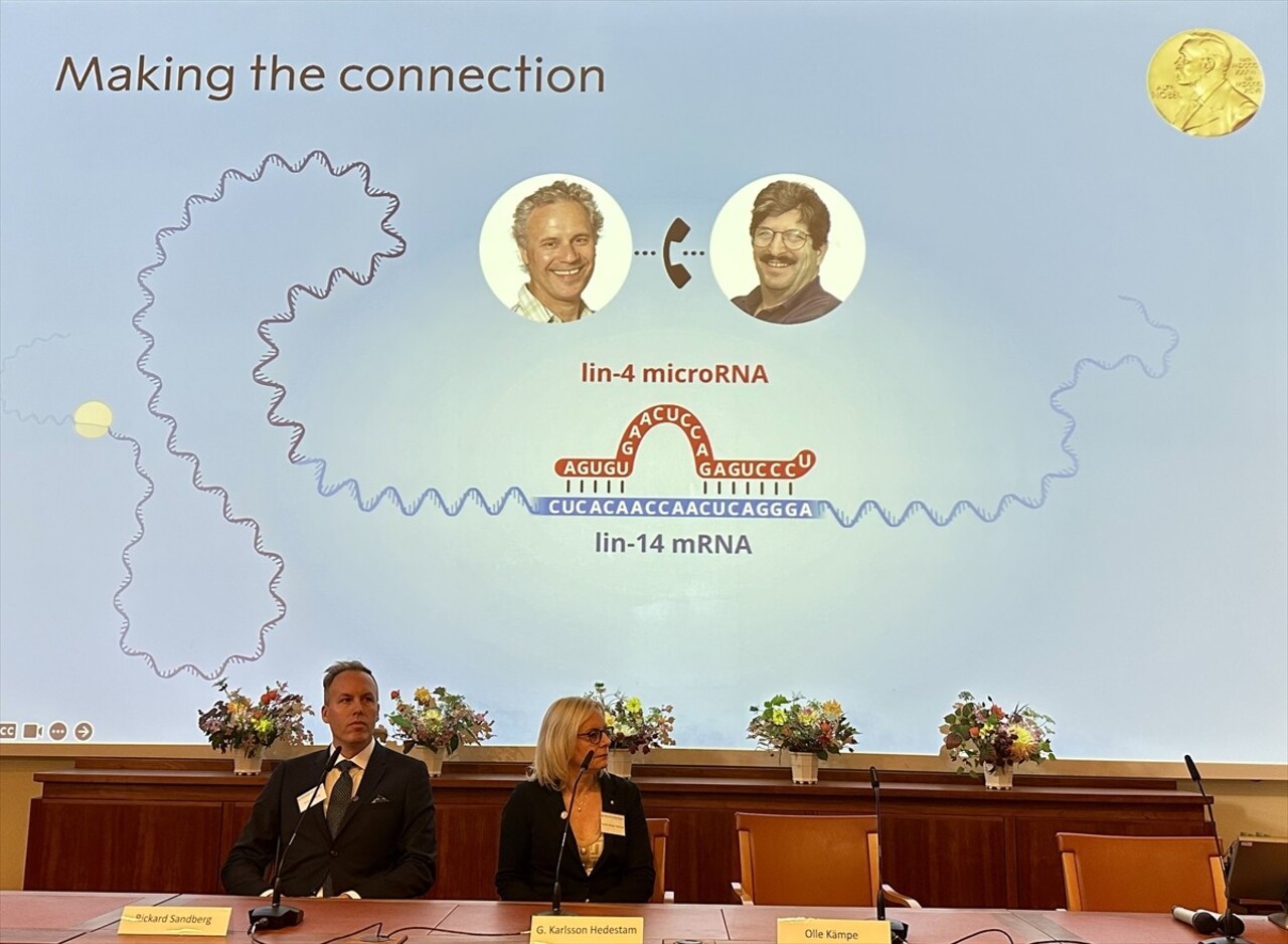 2024 Nobel Tıp Ödülü'nü "mikroRNA'nın keşfi ve gen düzenlemesi" çalışmalarından dolayı ABD'li...