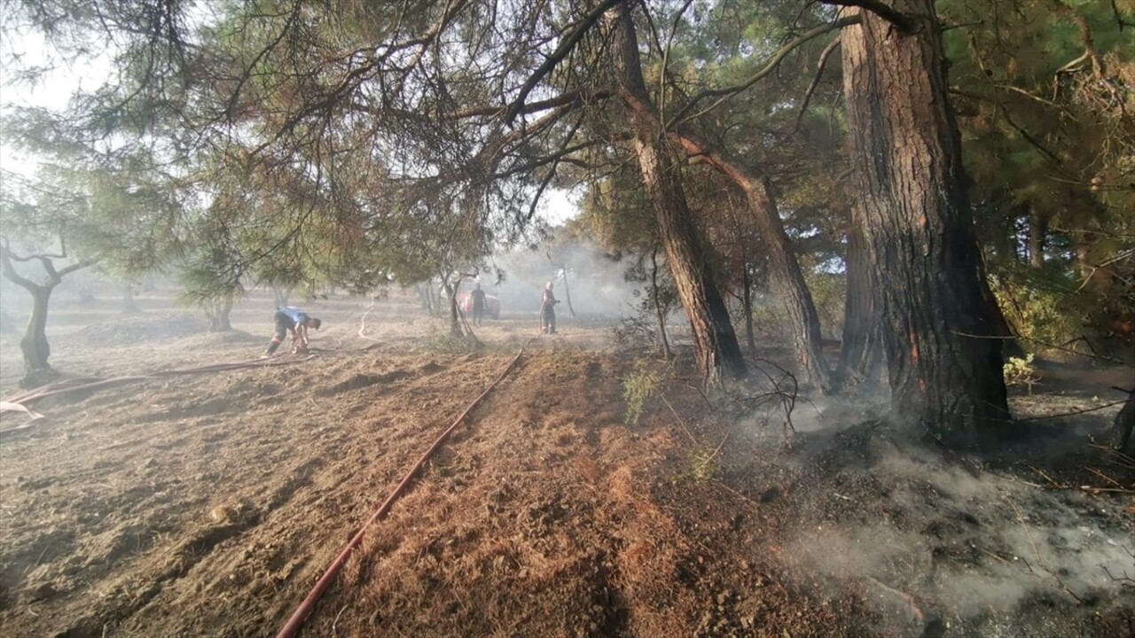 Bursa'nın Mudanya ilçesinde, ormanlık alanda çıkan yangın ekiplerin havadan ve karadan...