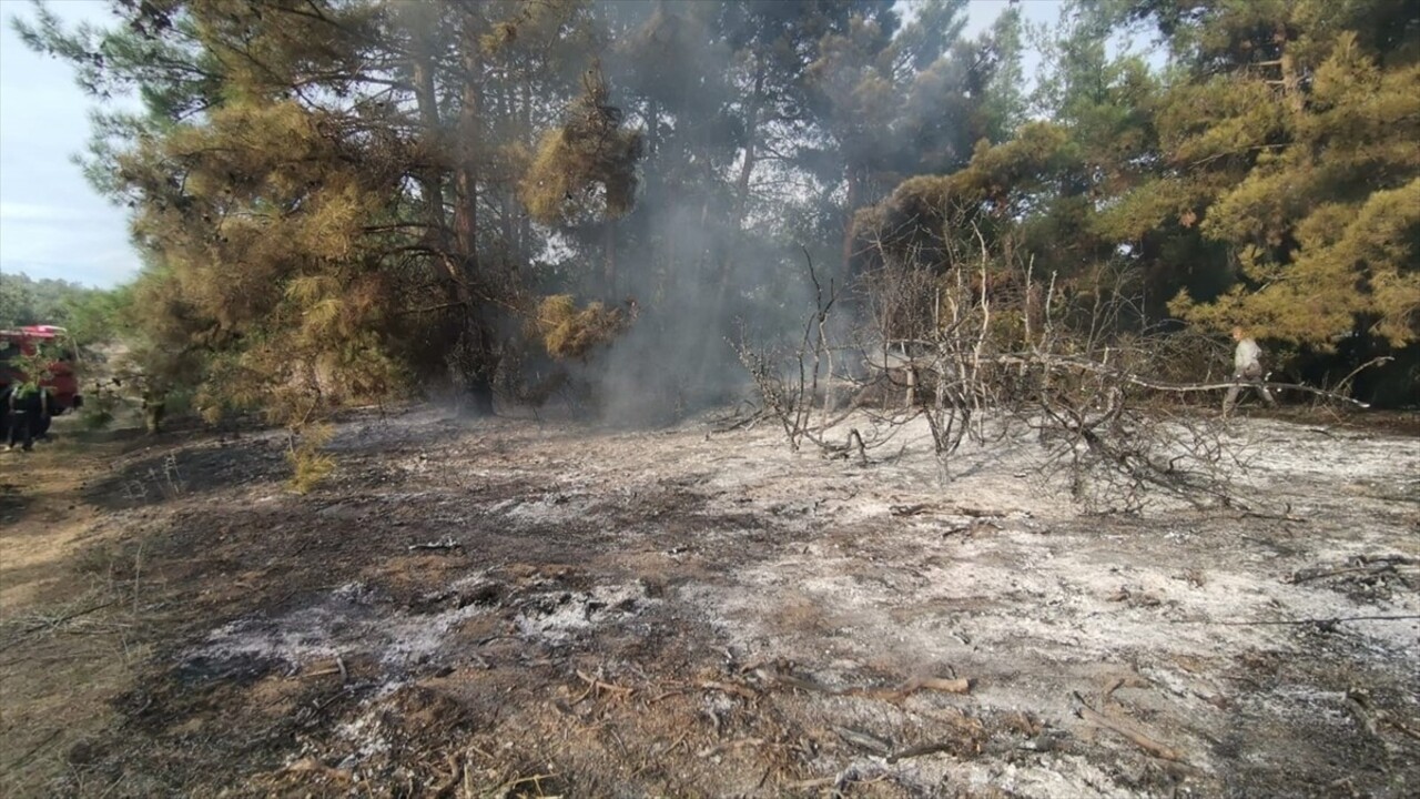 Bursa'nın Mudanya ilçesinde, ormanlık alanda çıkan yangın ekiplerin havadan ve karadan...