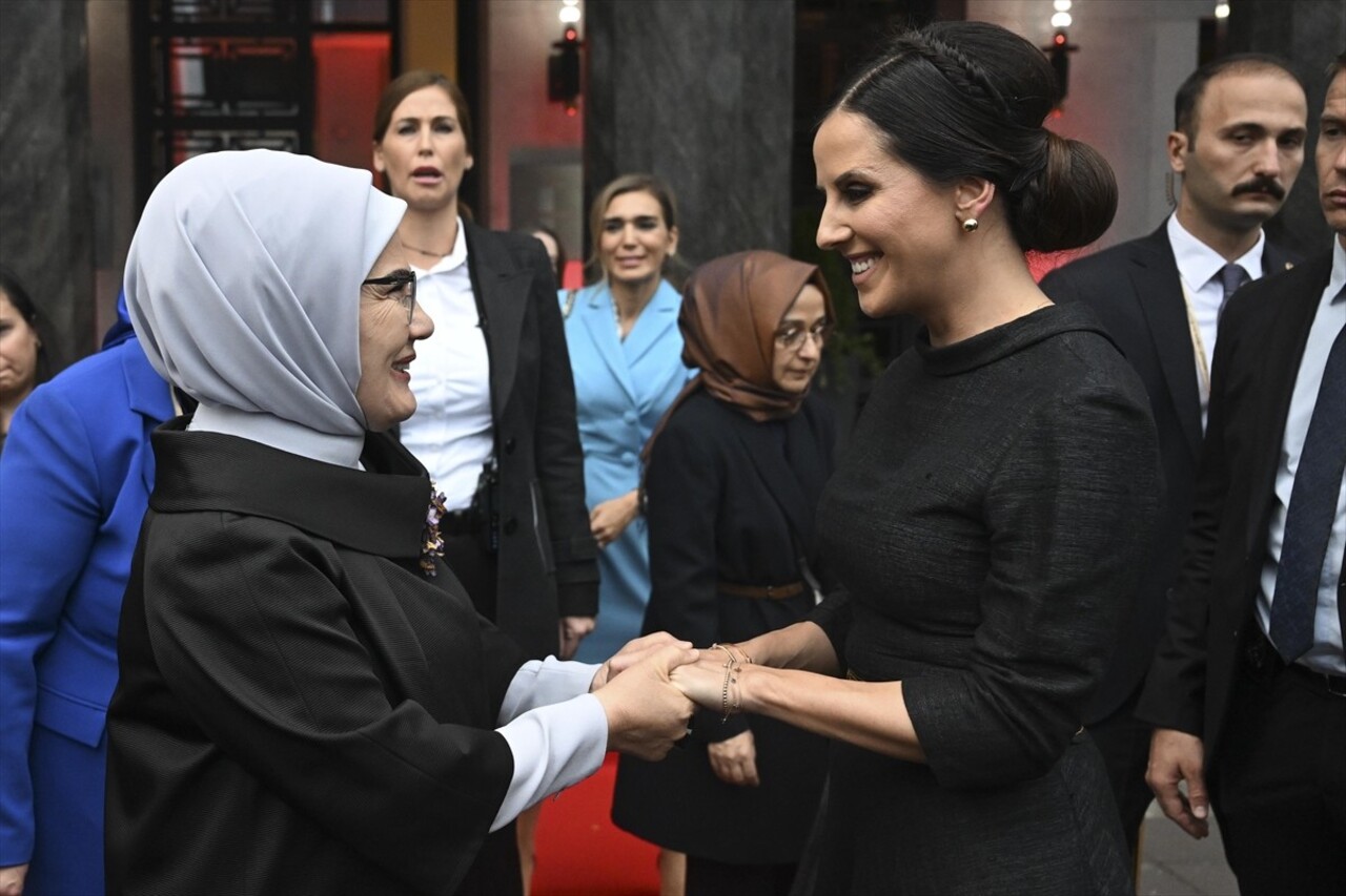 Cumhurbaşkanı Recep Tayyip Erdoğan'ın Sırbistan'ın başkenti Belgrad'a gerçekleştirdiği resmi...