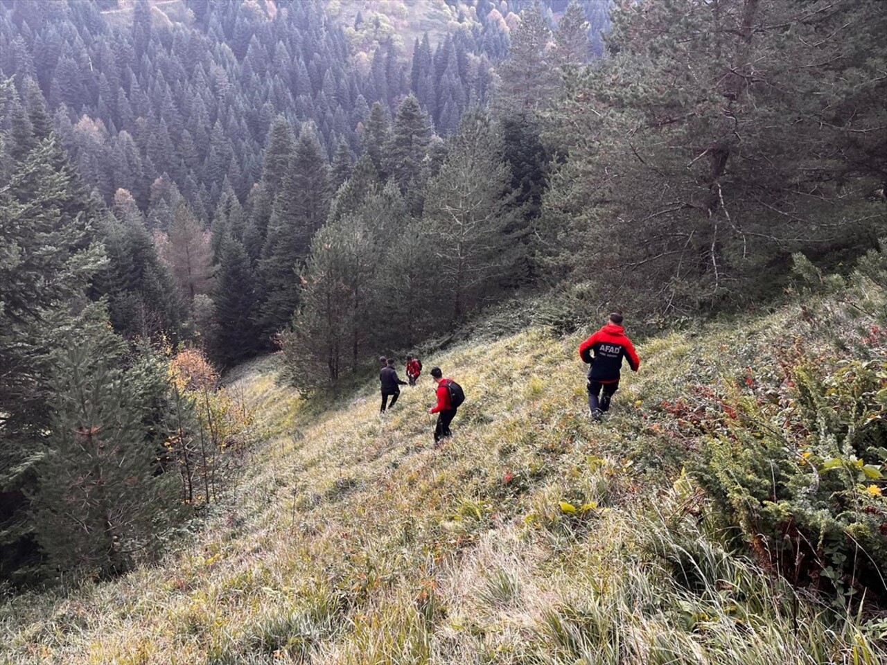 Bolu'nun Gerede ilçesinde yaylada kaybolan yaşlı çiftin bulunması için çalışma...