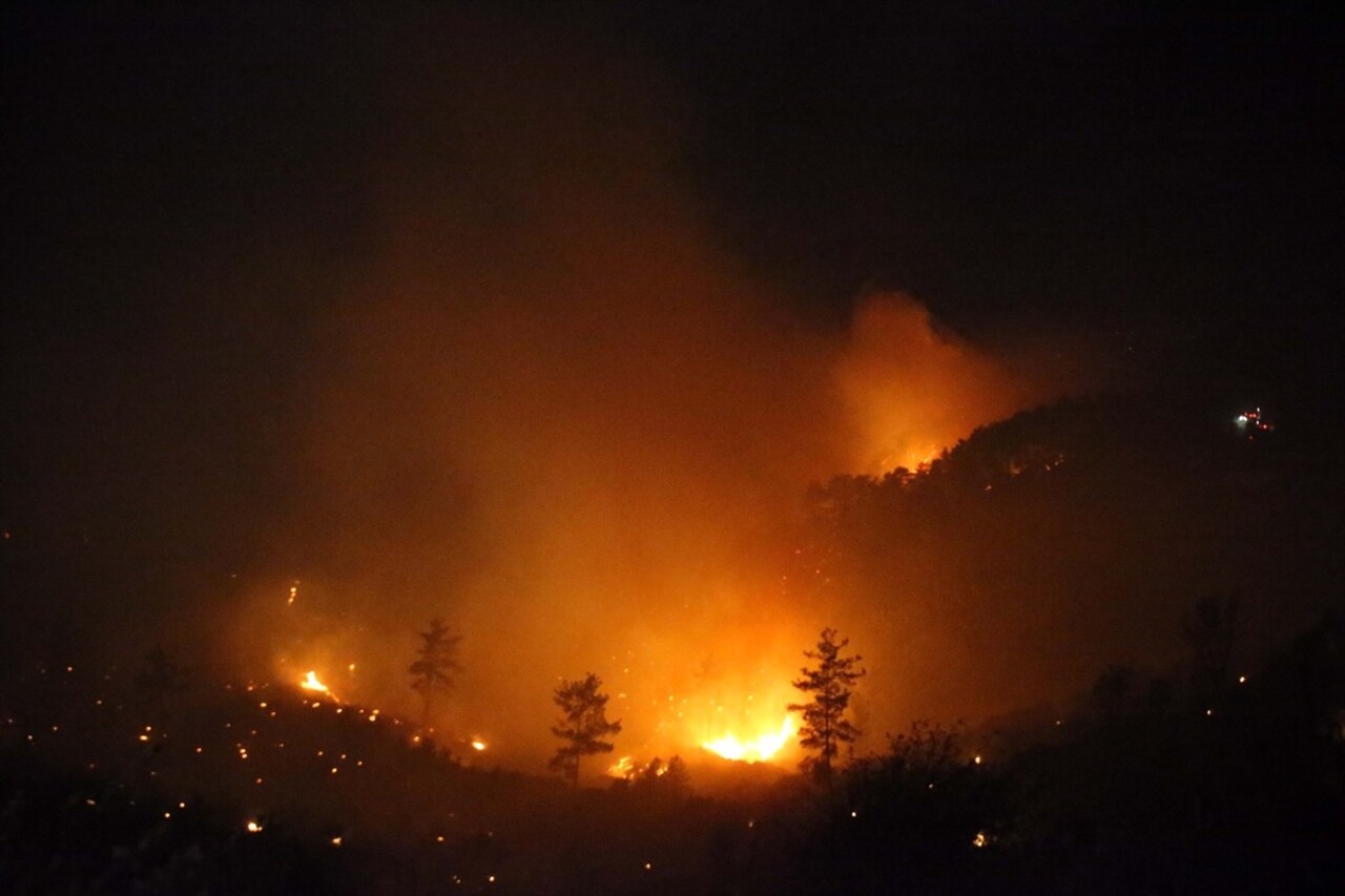 Muğla'nın Dalaman ilçesinde çıkan orman yangınlarına müdahale ediliyor. Dalaman'ın Elcik ve...