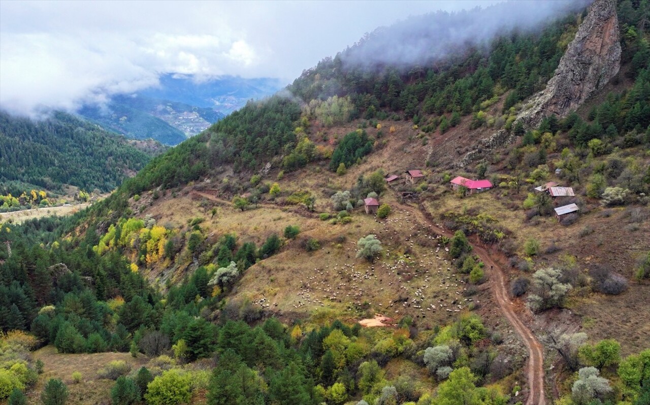 Doğu Karadeniz'i Doğu Anadolu'ya bağlayan önemli kara yolu güzergahlarından Zigana Dağı Geçidi...