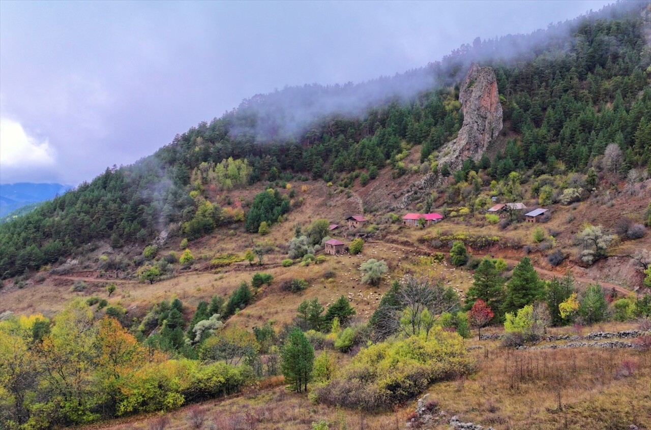 Doğu Karadeniz'i Doğu Anadolu'ya bağlayan önemli kara yolu güzergahlarından Zigana Dağı Geçidi...