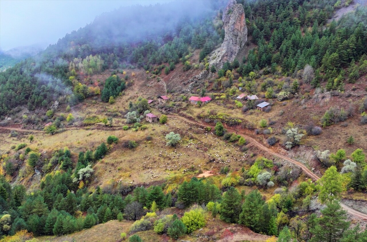 Doğu Karadeniz'i Doğu Anadolu'ya bağlayan önemli kara yolu güzergahlarından Zigana Dağı Geçidi...