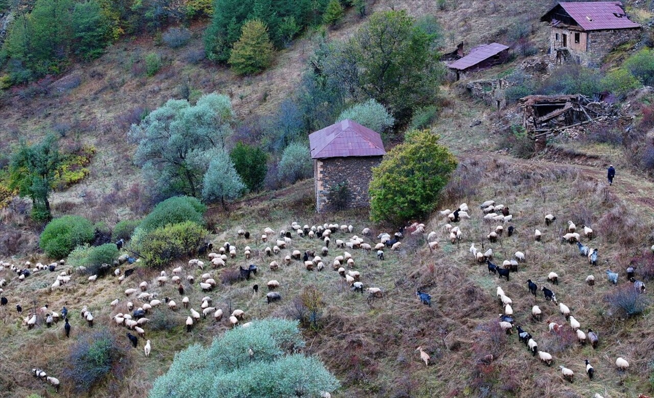 Doğu Karadeniz'i Doğu Anadolu'ya bağlayan önemli kara yolu güzergahlarından Zigana Dağı Geçidi...