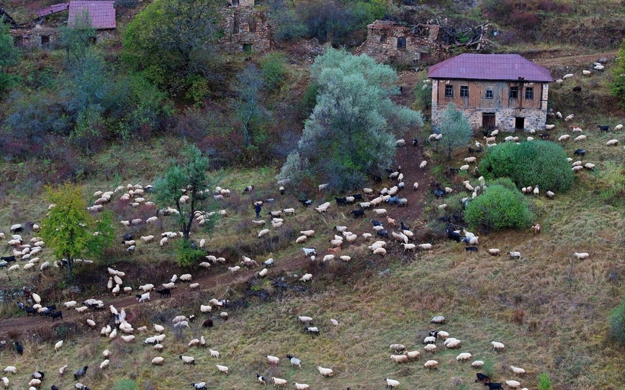 Doğu Karadeniz'i Doğu Anadolu'ya bağlayan önemli kara yolu güzergahlarından Zigana Dağı Geçidi...