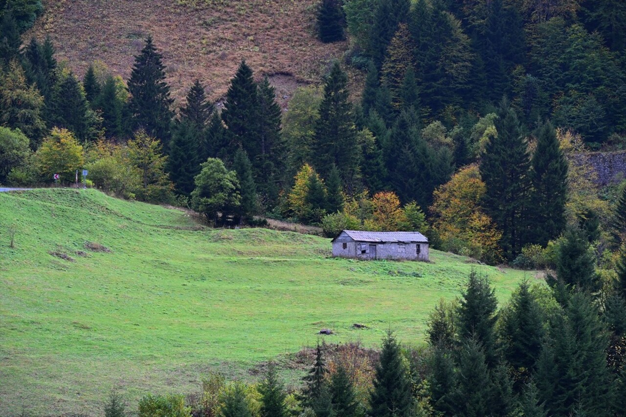 Doğu Karadeniz'i Doğu Anadolu'ya bağlayan önemli kara yolu güzergahlarından Zigana Dağı Geçidi...