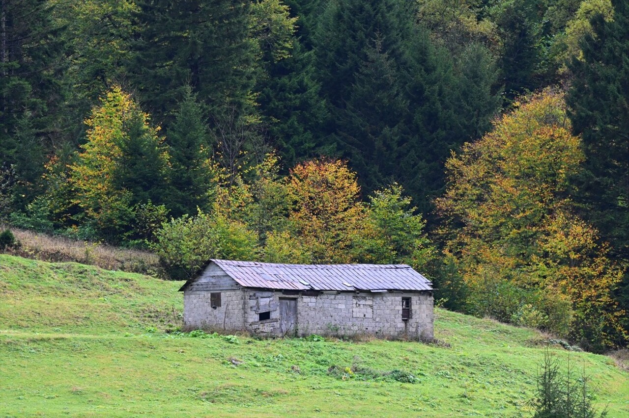 Doğu Karadeniz'i Doğu Anadolu'ya bağlayan önemli kara yolu güzergahlarından Zigana Dağı Geçidi...