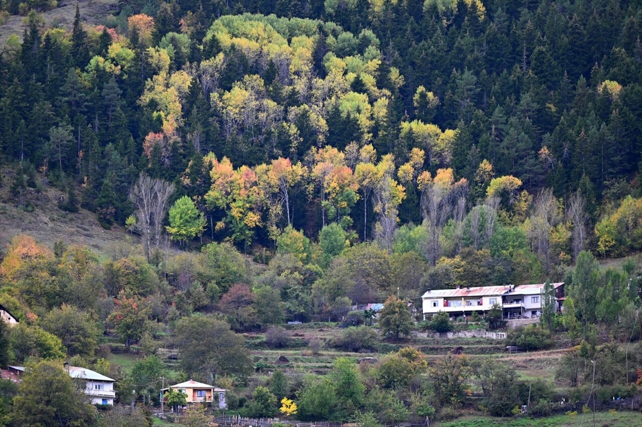 Doğu Karadeniz'i Doğu Anadolu'ya bağlayan önemli kara yolu güzergahlarından Zigana Dağı Geçidi...