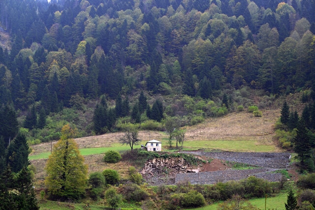 Doğu Karadeniz'i Doğu Anadolu'ya bağlayan önemli kara yolu güzergahlarından Zigana Dağı Geçidi...