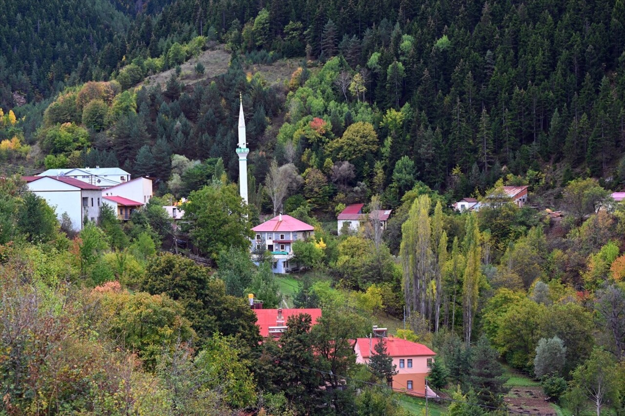 Doğu Karadeniz'i Doğu Anadolu'ya bağlayan önemli kara yolu güzergahlarından Zigana Dağı Geçidi...