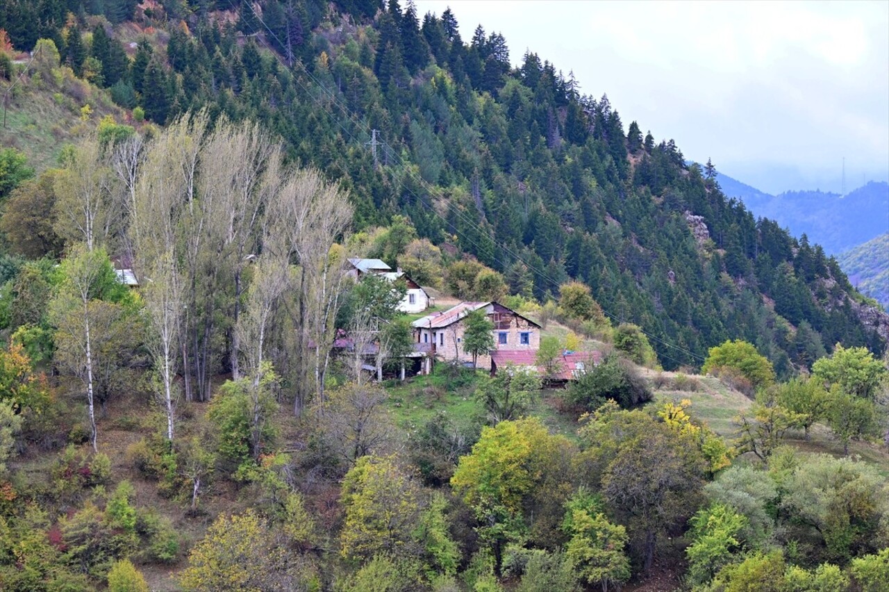 Doğu Karadeniz'i Doğu Anadolu'ya bağlayan önemli kara yolu güzergahlarından Zigana Dağı Geçidi...