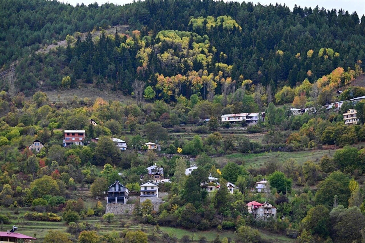 Doğu Karadeniz'i Doğu Anadolu'ya bağlayan önemli kara yolu güzergahlarından Zigana Dağı Geçidi...