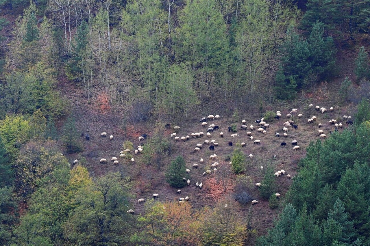 Doğu Karadeniz'i Doğu Anadolu'ya bağlayan önemli kara yolu güzergahlarından Zigana Dağı Geçidi...