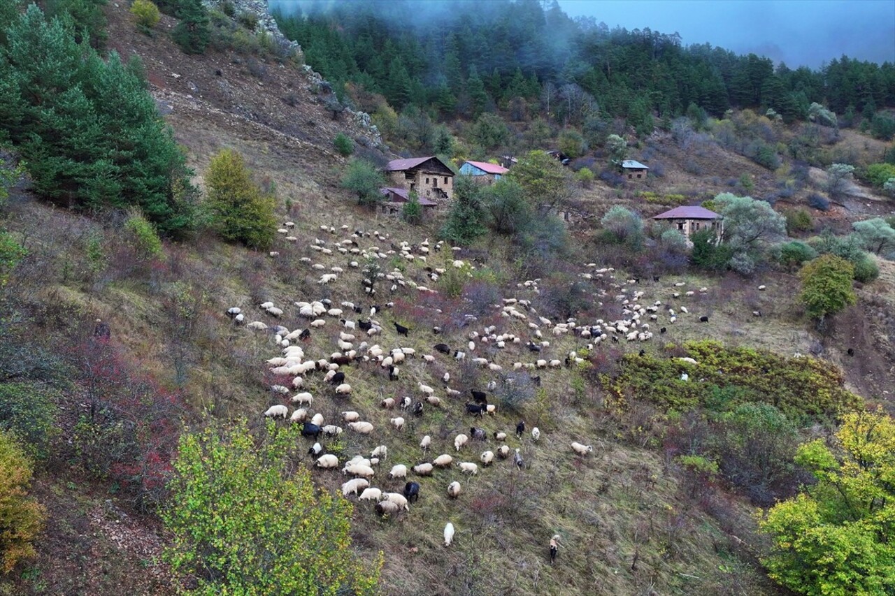 Doğu Karadeniz'i Doğu Anadolu'ya bağlayan önemli kara yolu güzergahlarından Zigana Dağı Geçidi...