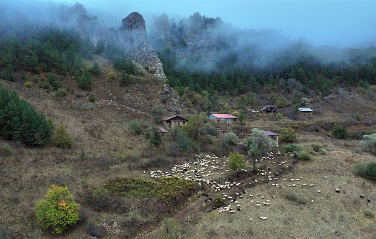 Doğu Karadeniz'i Doğu Anadolu'ya bağlayan önemli kara yolu güzergahlarından Zigana Dağı Geçidi...