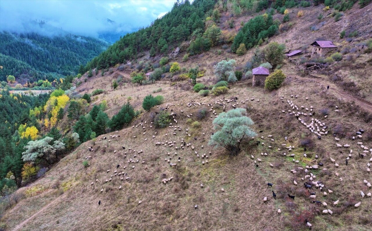 Doğu Karadeniz'i Doğu Anadolu'ya bağlayan önemli kara yolu güzergahlarından Zigana Dağı Geçidi...