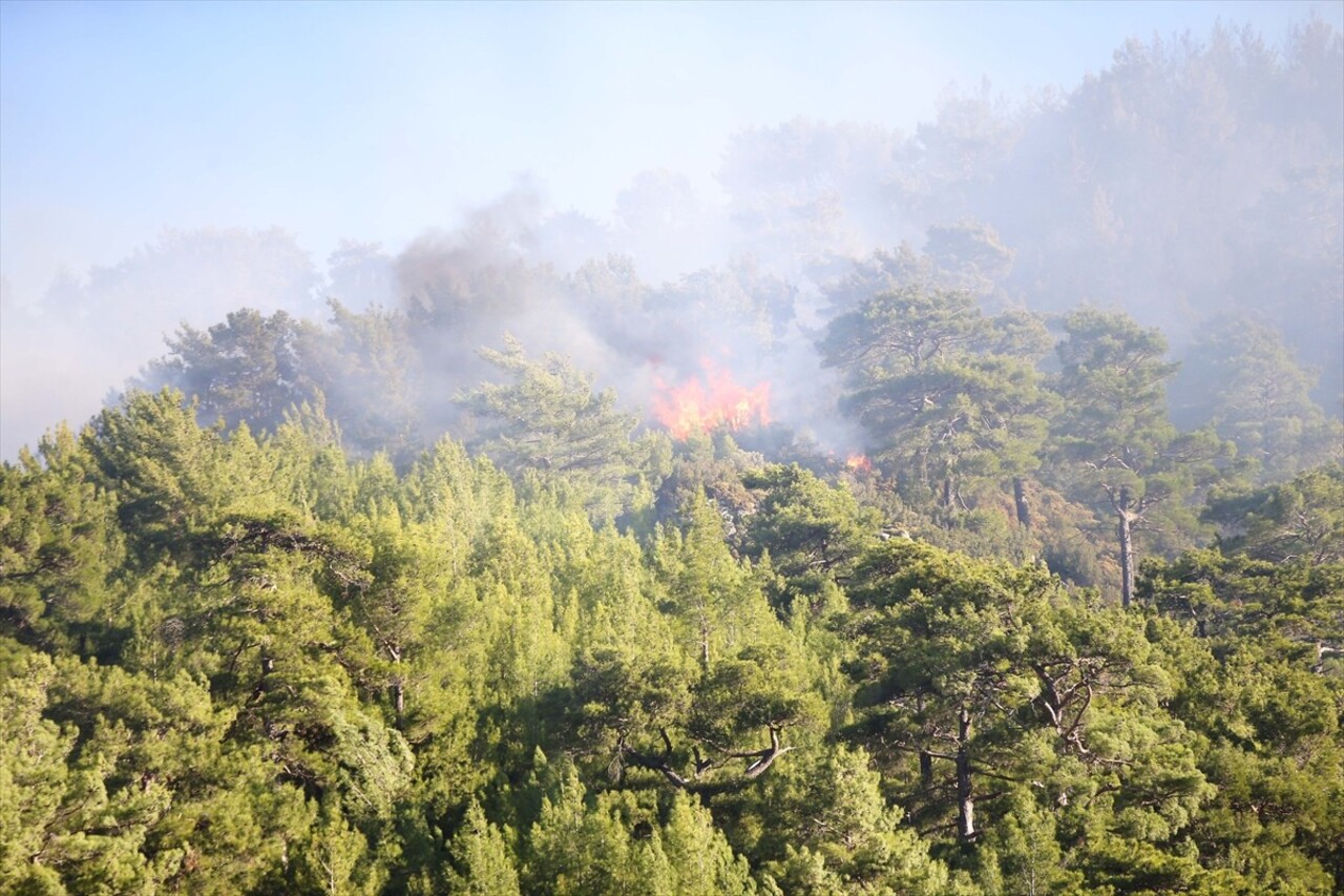 Muğla'nın Dalaman ilçesi Taşbaşı Mahallesi'nde çıkan orman yangınına havadan ve karadan müdahale...