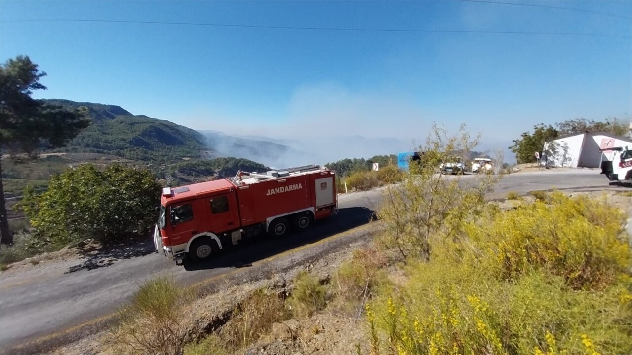 Muğla'nın Dalaman ilçesi Taşbaşı Mahallesi'nde çıkan orman yangınına havadan ve karadan müdahale...