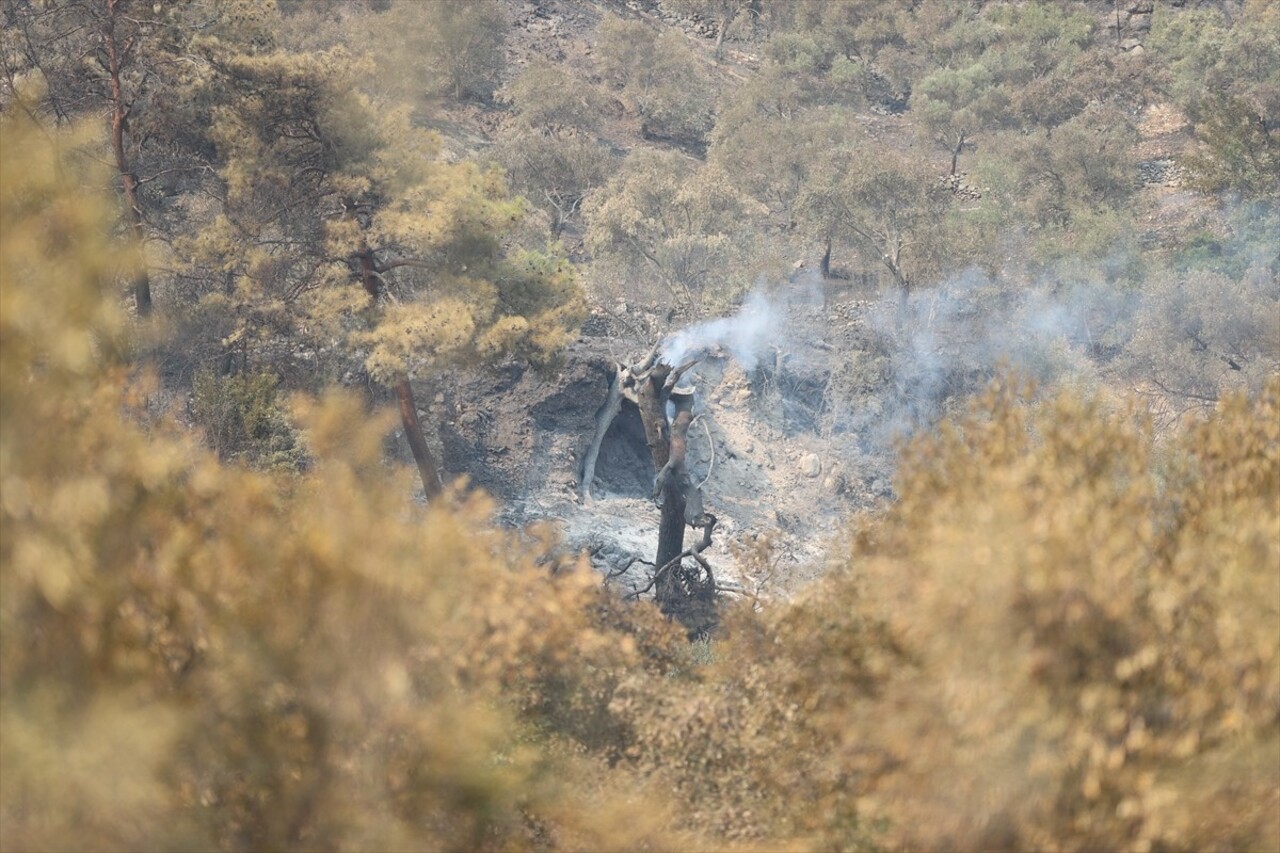 Muğla'nın Dalaman ve Menteşe ilçelerindeki orman yangınlarına havadan ve karadan müdahale sürüyor....