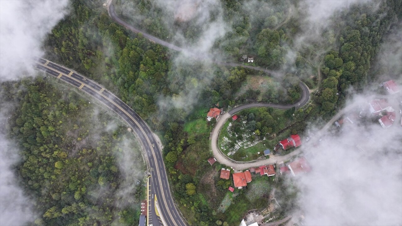 Bolu Dağı'nın Düzce kesiminde sis etkisini gösterdi. Bölgeyi kaplayan sis, havadan...