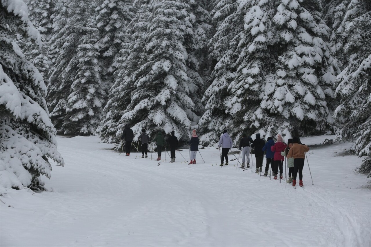 Bolu'nun yüksek kesimlerinde kar yağışını fırsat bilen kayaklı koşu sporcuları antrenmanlara start...