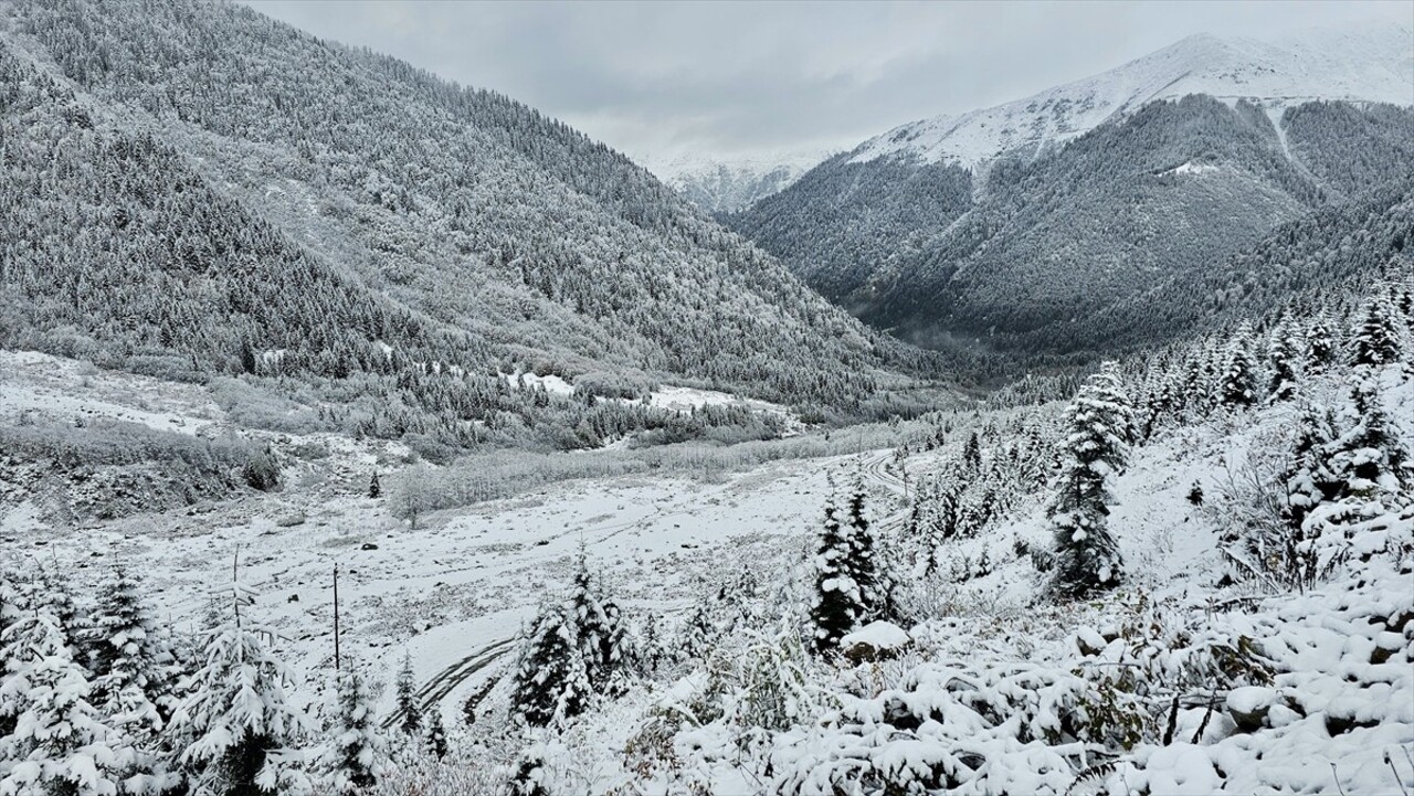 Rize'nin Çamlıhemşin ilçesinde baharda hayvanlarıyla yaylalara çıkan vatandaşlar köylere dönüş...