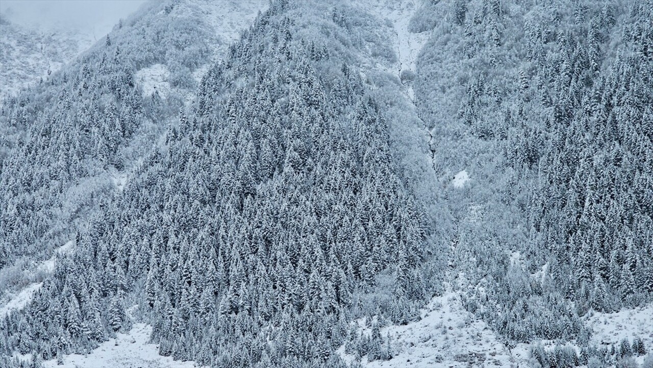 Rize'nin Çamlıhemşin ilçesinde baharda hayvanlarıyla yaylalara çıkan vatandaşlar köylere dönüş...