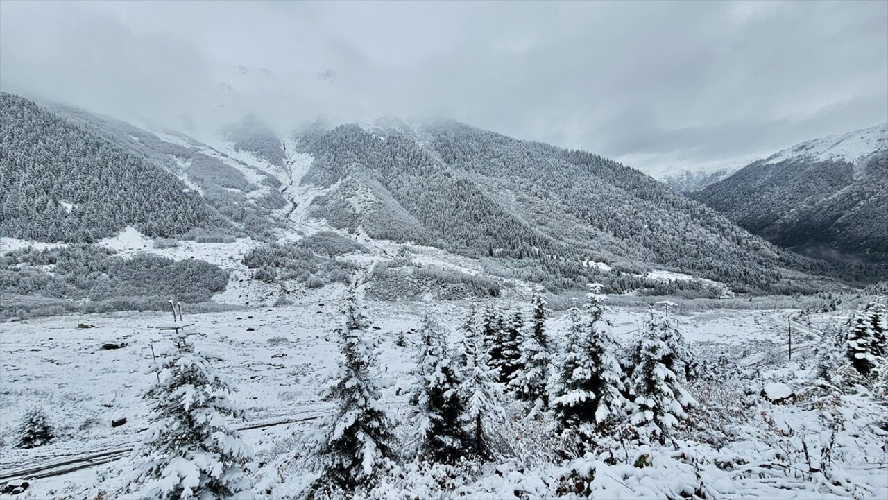 Rize'nin Çamlıhemşin ilçesinde baharda hayvanlarıyla yaylalara çıkan vatandaşlar köylere dönüş...