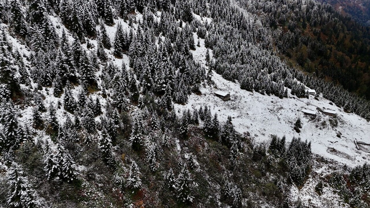 Rize'nin Çamlıhemşin ilçesinde baharda hayvanlarıyla yaylalara çıkan vatandaşlar köylere dönüş...