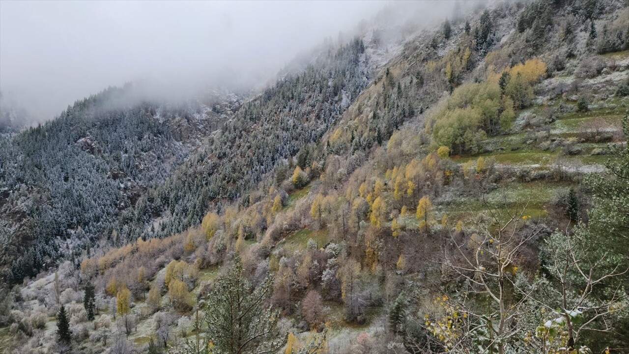 Artvin'de yüksek kesimlerde kar yağışı etkili olmaya devam ediyor. Şavşat'ta Arsiyan, Eskikale ve...