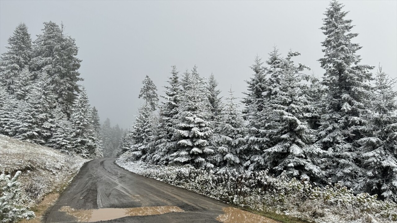 Artvin'de yüksek kesimlerde kar yağışı etkili olmaya devam ediyor. Şavşat'ta Arsiyan, Eskikale ve...