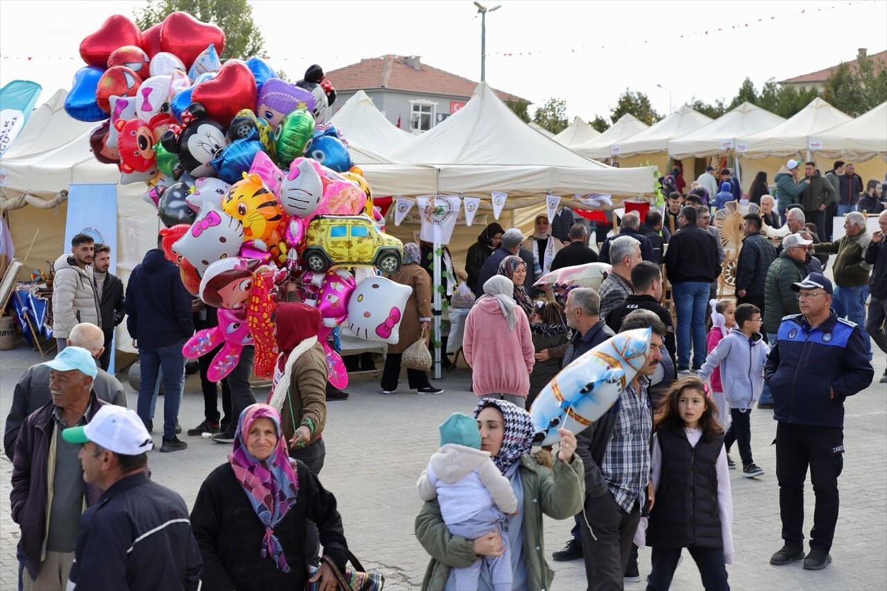 Aksaray'da "4. Geleneksel Ağaçören Ceviz Festivali" başladı. Ağaçören ilçesindeki etkinlik...