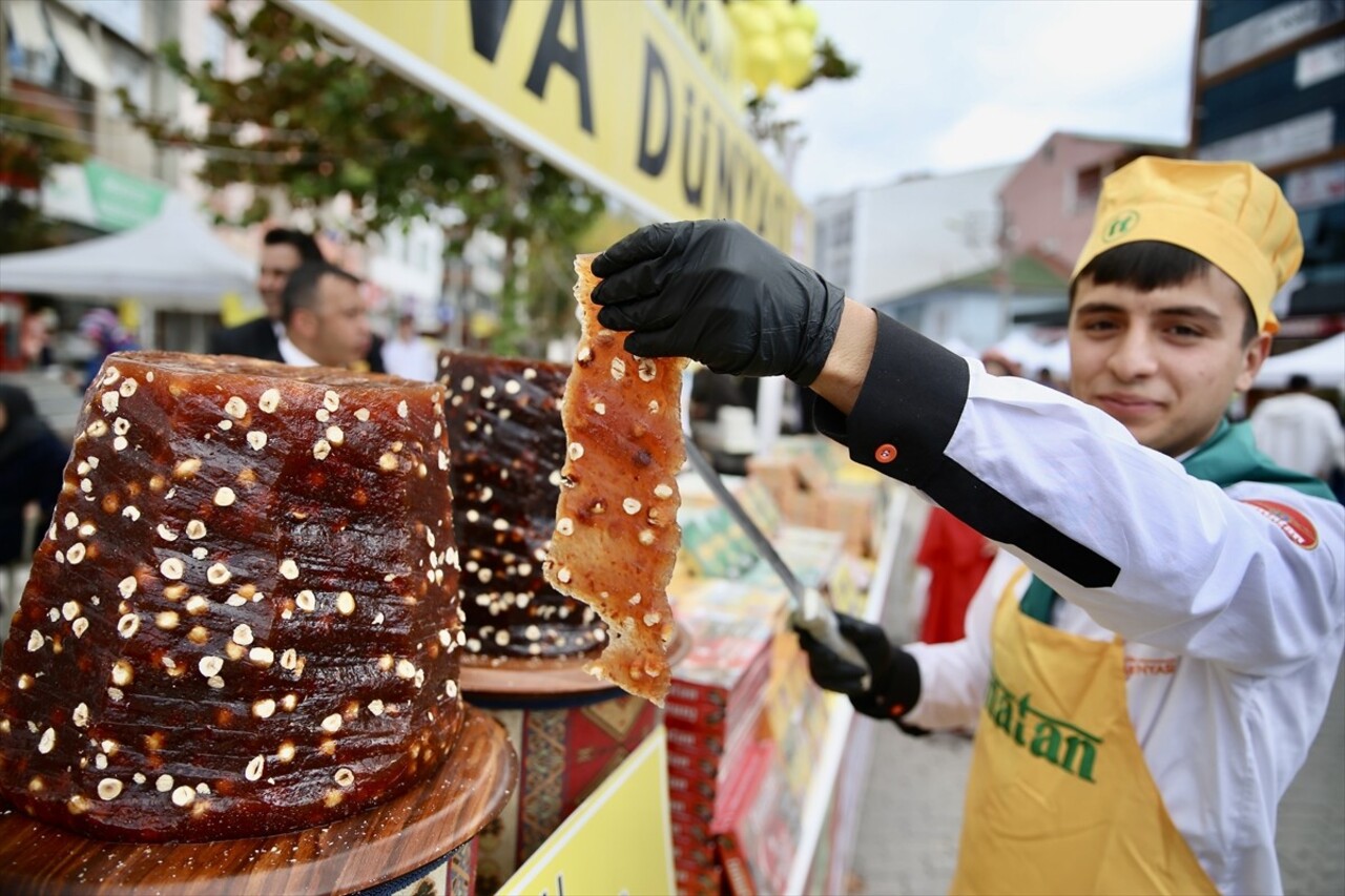 Sakarya'nın Pamukova ilçesinde 5'incisi düzenlenen "Ayva ve Yöresel Ürünler Festivali" başladı....