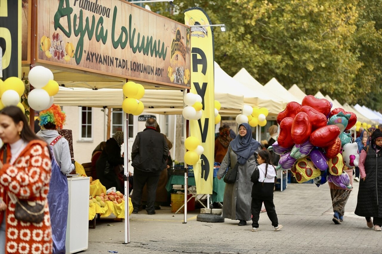 Sakarya'nın Pamukova ilçesinde 5'incisi düzenlenen "Ayva ve Yöresel Ürünler Festivali" başladı....