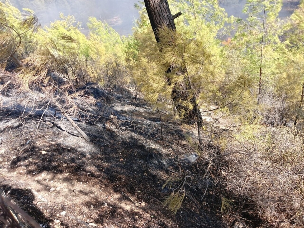 Antalya'nın Kumluca ilçesinde çıkan orman yangınında yaklaşık 2 hektarlık alan ve bir ev zarar...