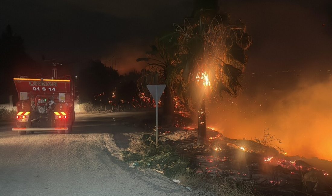 Adana'nın Sarıçam ilçesinde çıkan