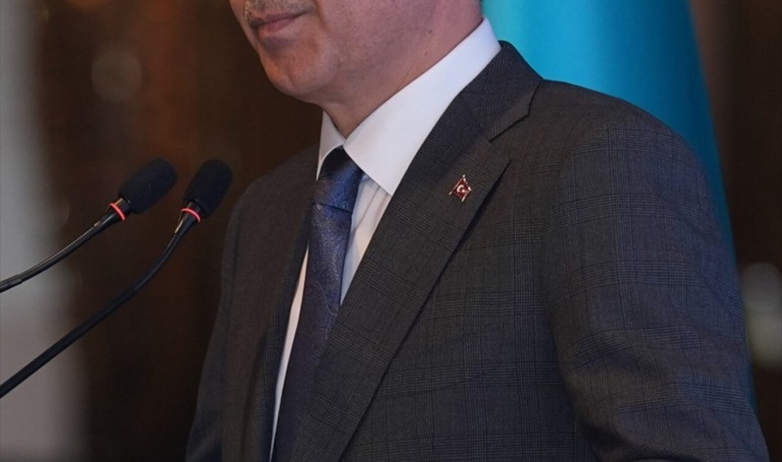 Ali Yerlikaya, Türk Devletleri