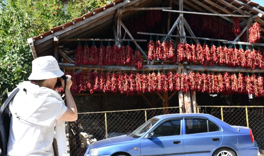 Bilecik'in tescilli biberi, Çukurören