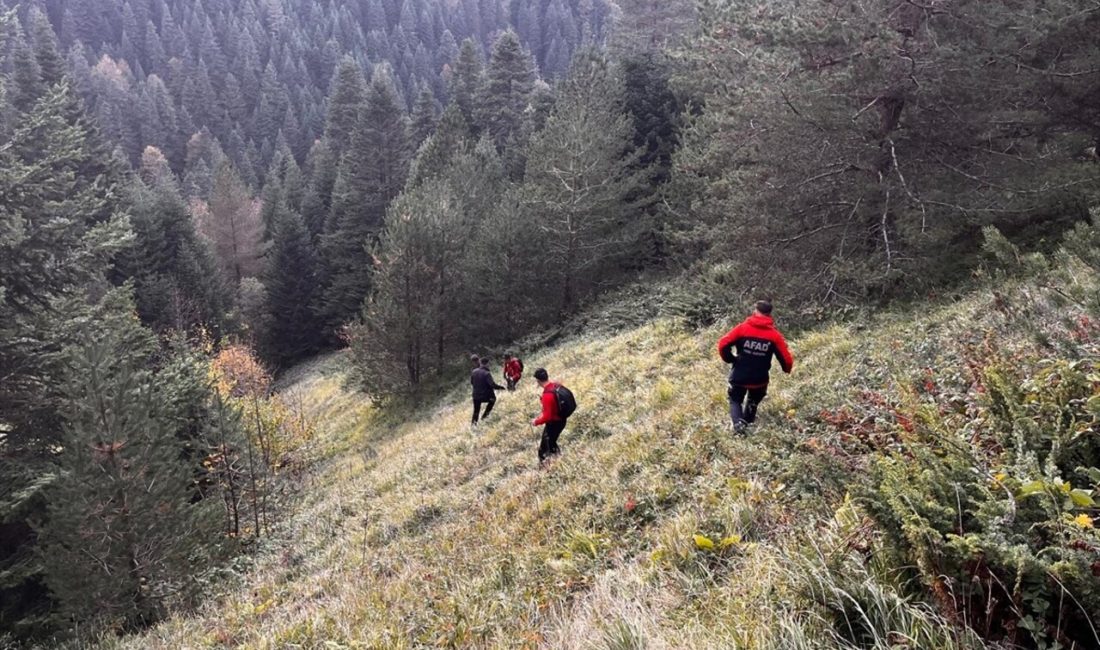 Bolu'nun Gerede ilçesinde yaylada