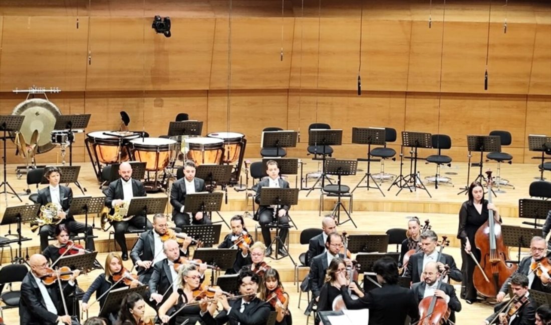 CSO DenizBank Konserleri, sanatseverlere