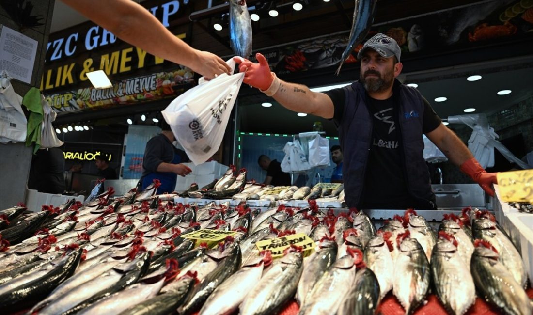 Balıkçılar, palamut avı için