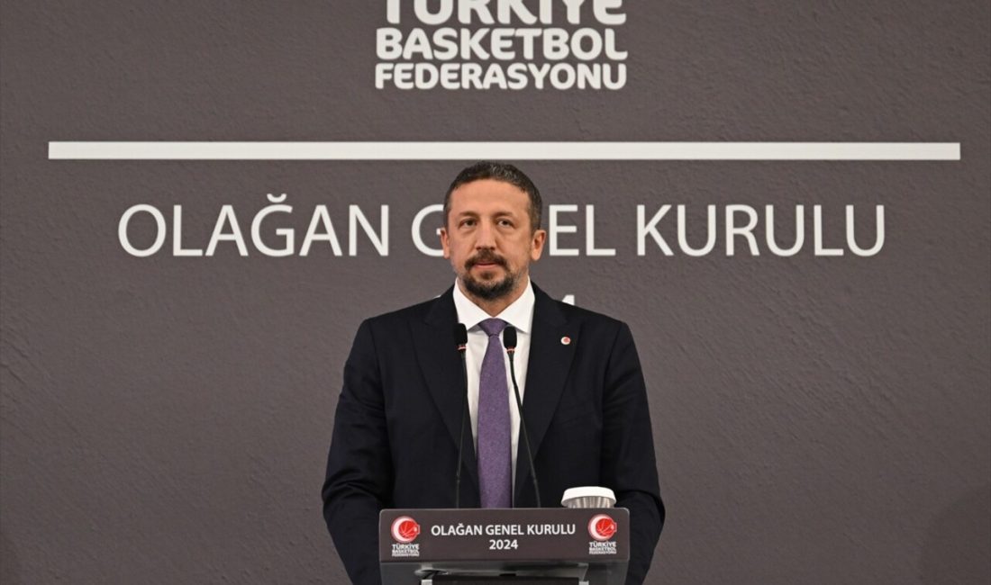 Hidayet Türkoğlu, Türkiye Basketbol