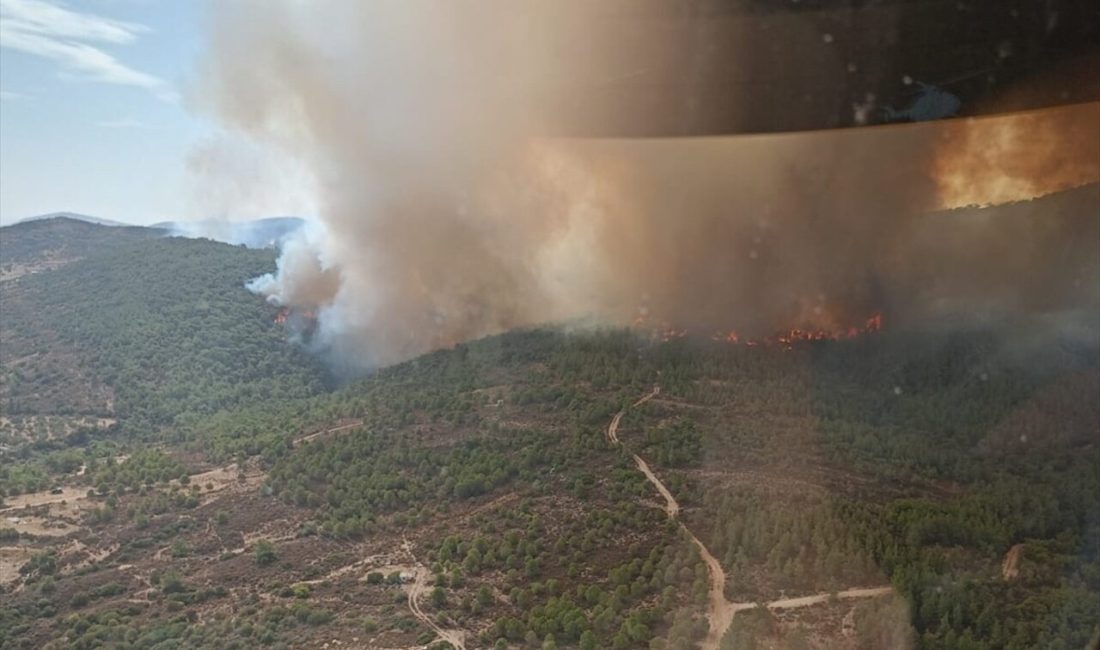 Foça'daki çöplükte başlayan yangın,