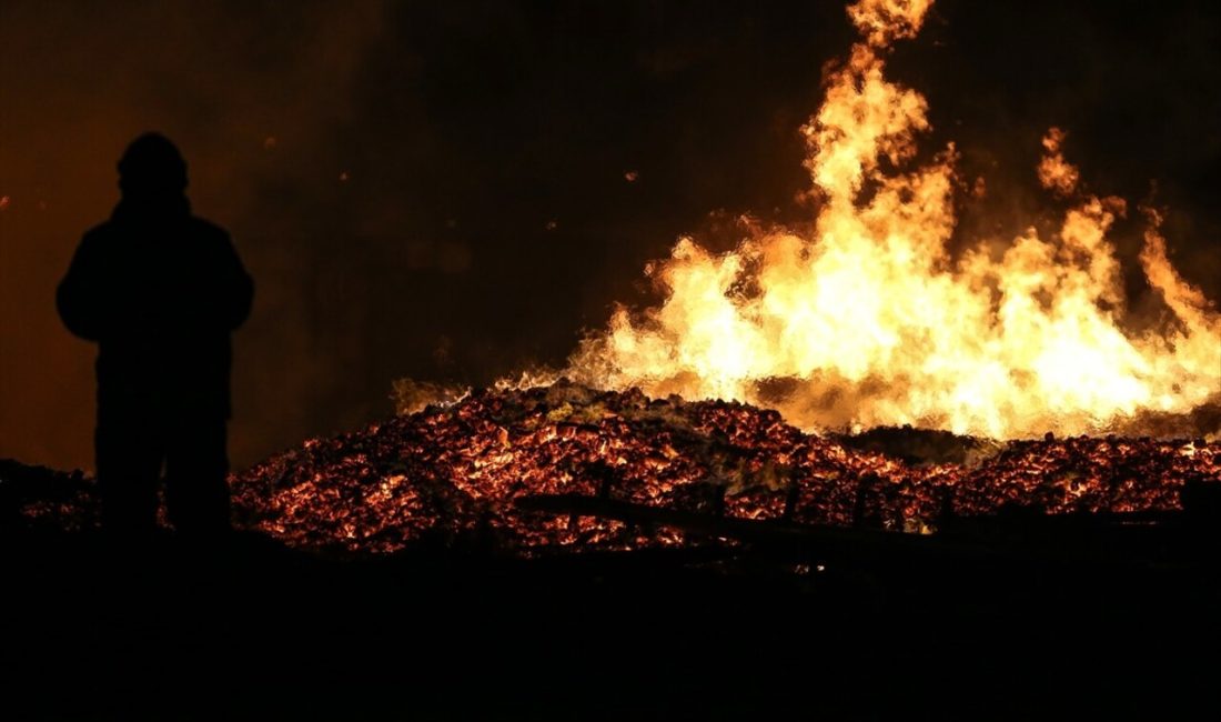 Karacabey Uluabat Mahallesi'ndeki palet