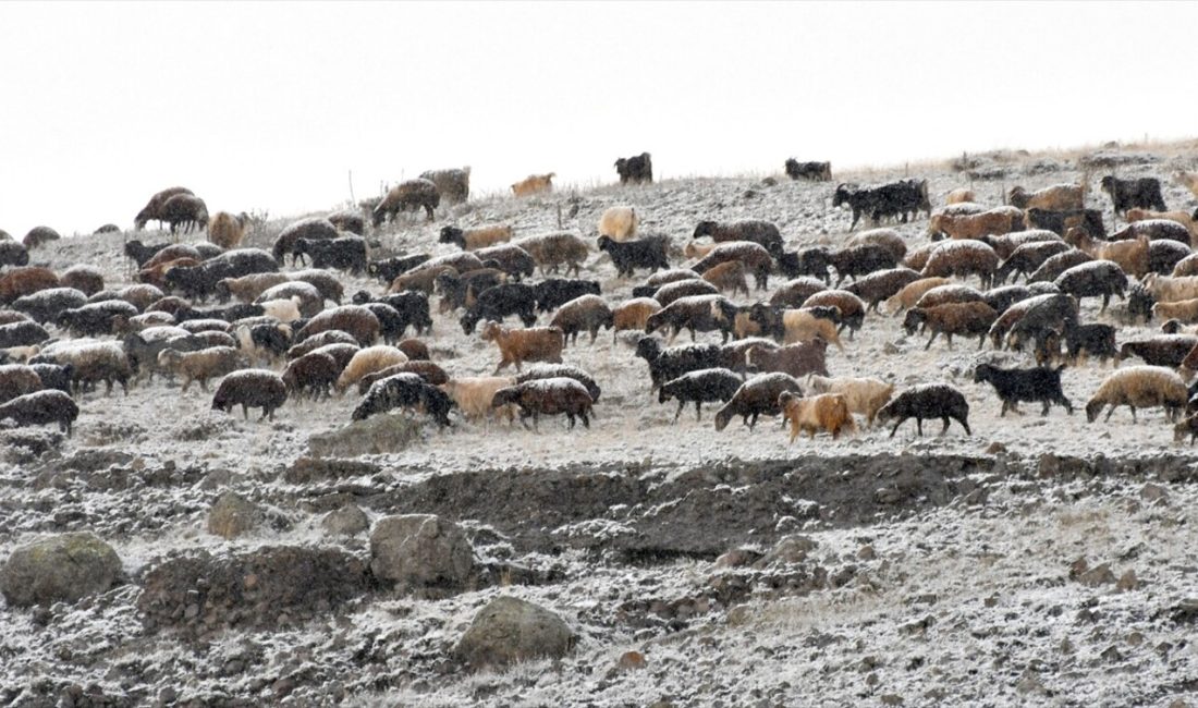 Kars'ın Sarıkamış ilçesinde aniden